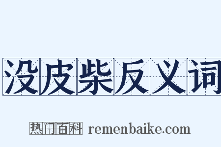 没皮柴反义词是什么意思的图片